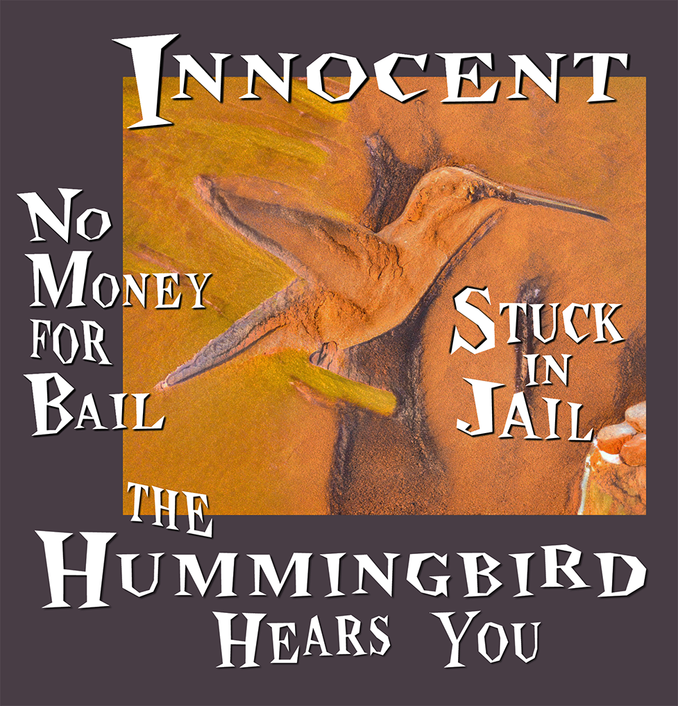 Innocent with No Money for Bail and Stuck in Jail The Hummingbird Project of the Arkansas Justice Reform Coalition Hears You