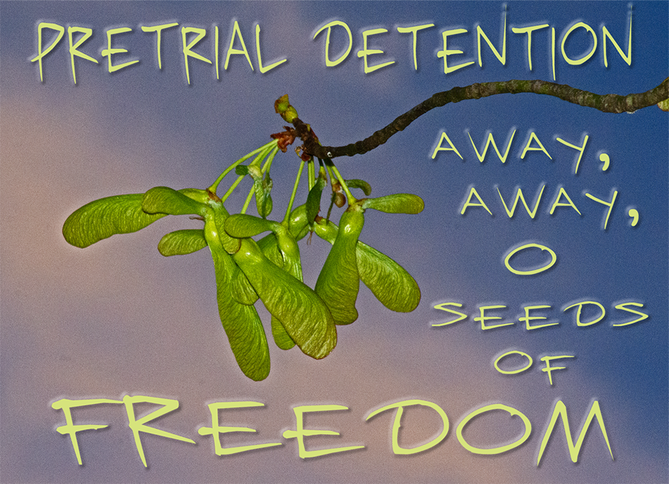 Pretrial Detention Away Away O Seeds of Freedom